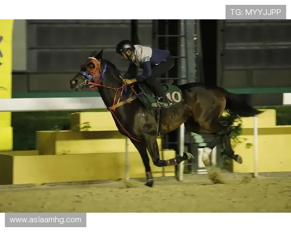 澳门赛马今天的现场观众指南与赛事观看全攻略